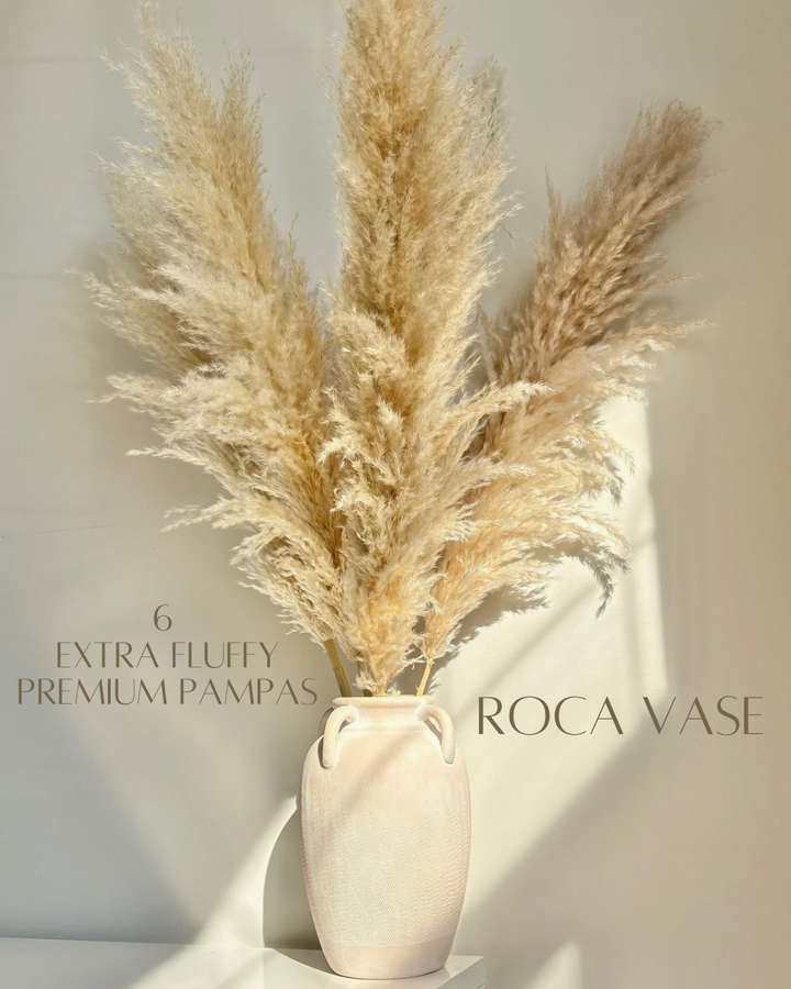 Large Champagne Pampas Grass