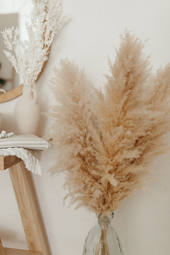 Large Champagne Pampas Grass