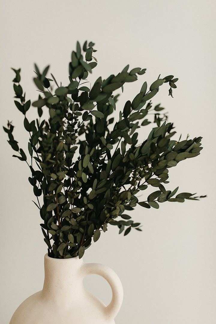 Parvifolia Preserved Eucalyptus