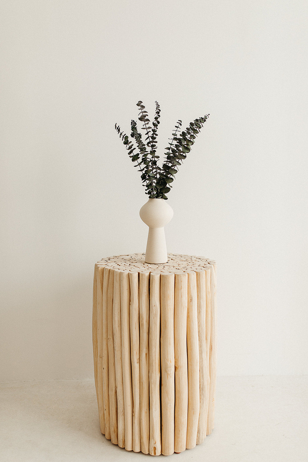 Preserved Eucalyptus