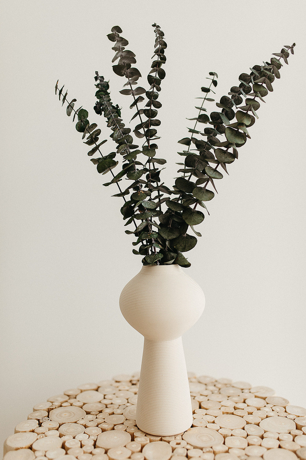 Preserved Eucalyptus