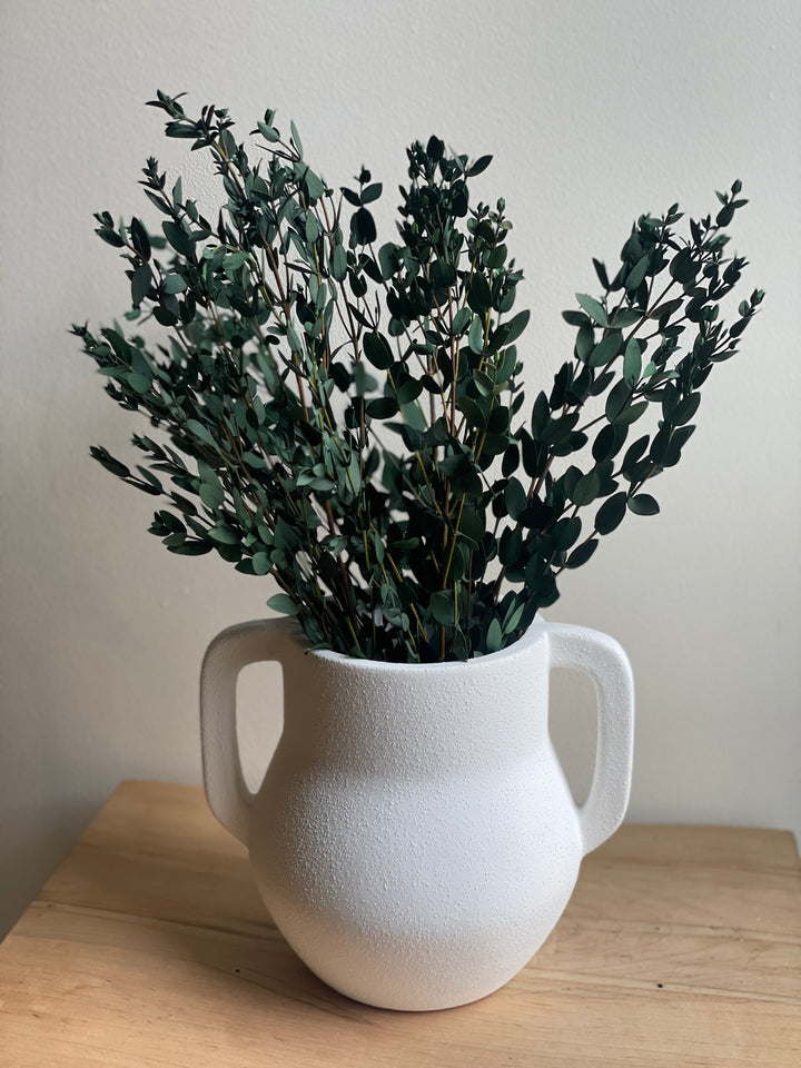 Parvifolia Preserved Eucalyptus