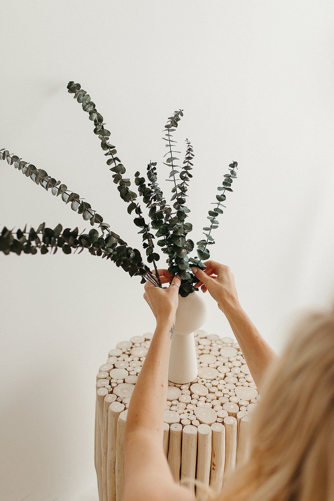 Preserved vs. Dried Eucalyptus: What’s the Difference?