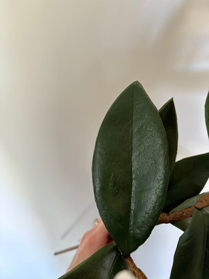 Imperfect Faux Magnolia Stems