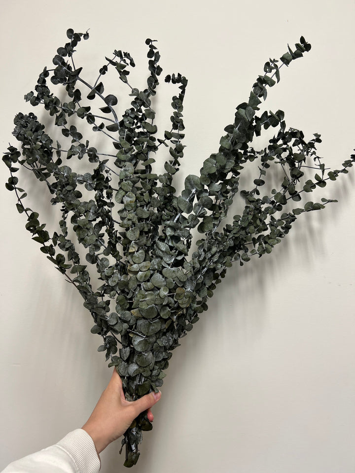 Imperfect Eucalyptus Bundles