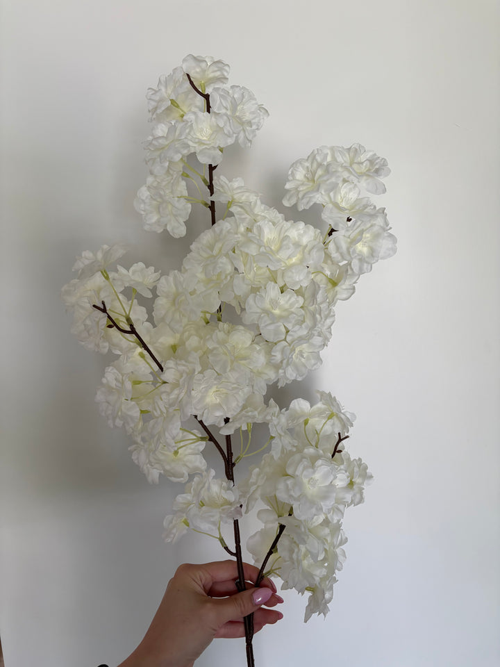 Cherry Blossom Stems