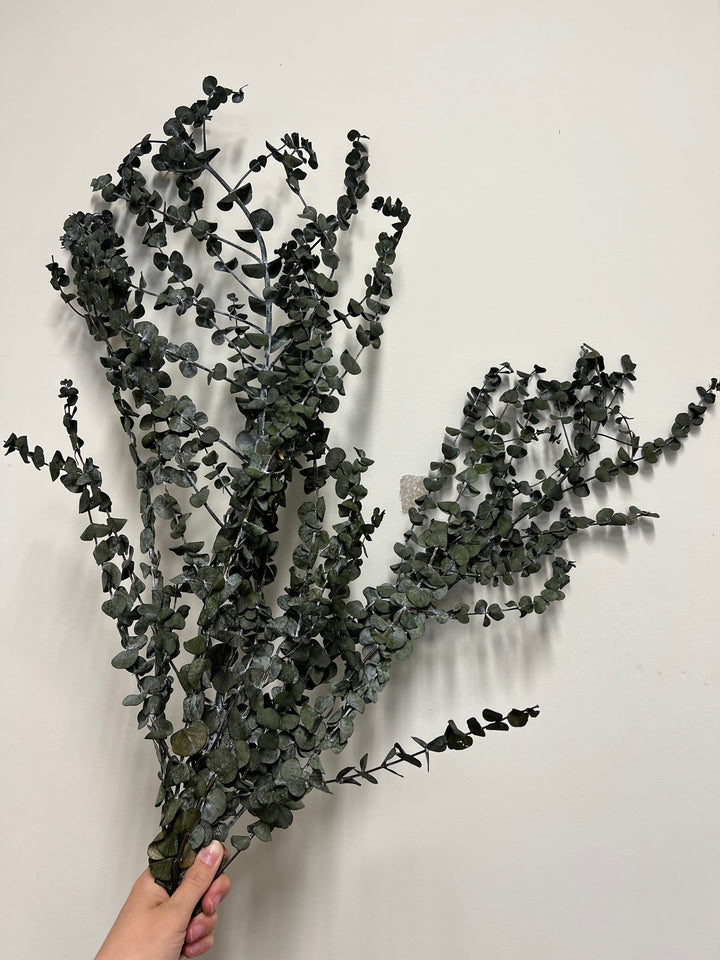 Imperfect Eucalyptus Bundles