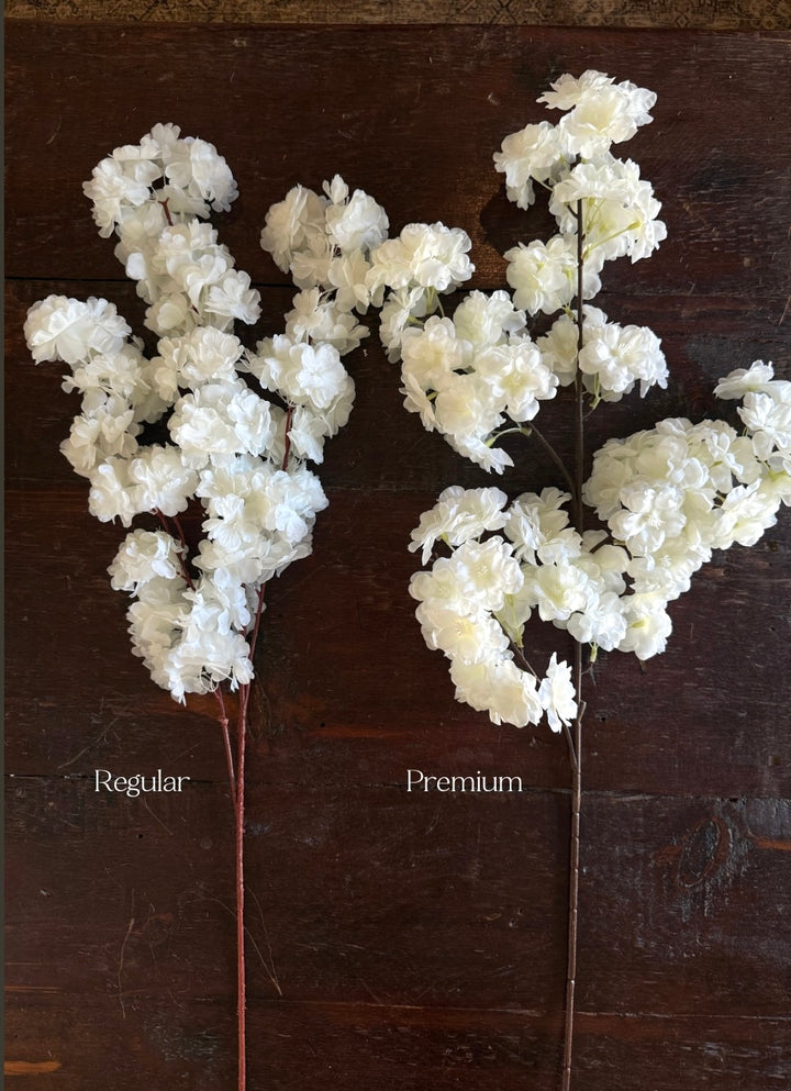 Cherry Blossom Stems