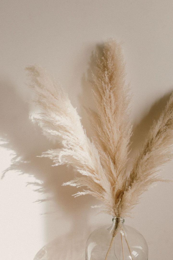 White and neutral pampas grass for By Two Fields