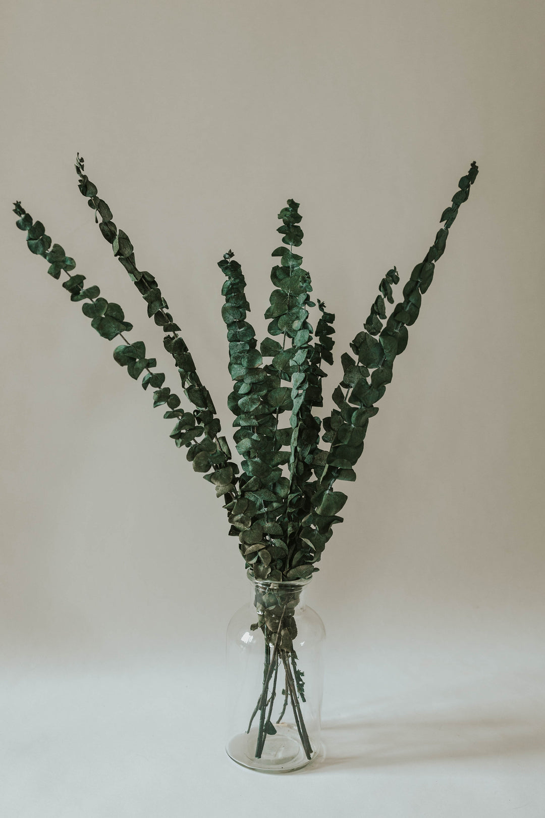 Green preserved eucalyptus in clear glass vase for By Two Fields