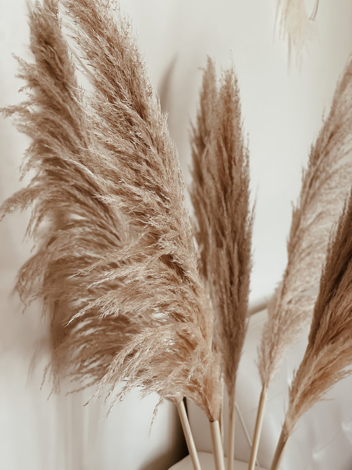 Golden Hour Pampas