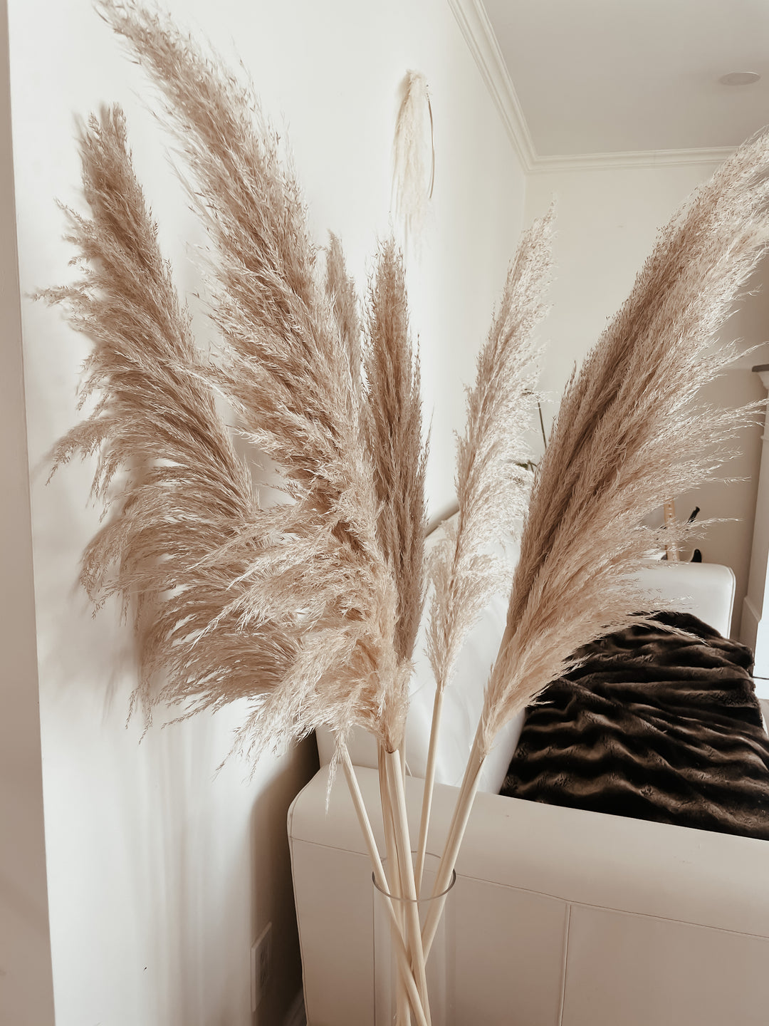 Golden Hour Pampas