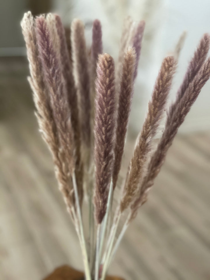 Small brown pampas grass for By Two Fields