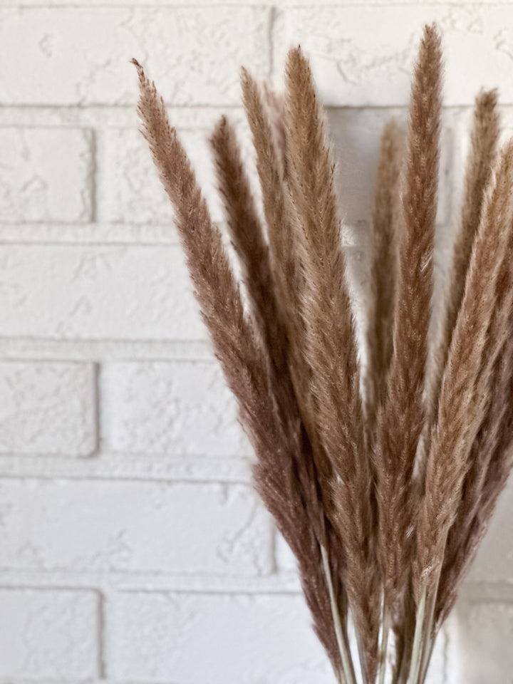 Natural Mini Pampas