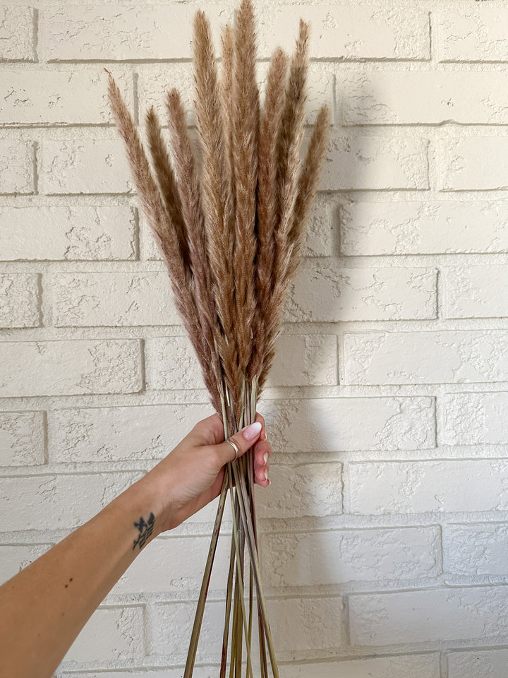 Natural Mini Pampas