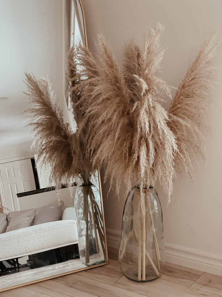 Golden Hour Pampas
