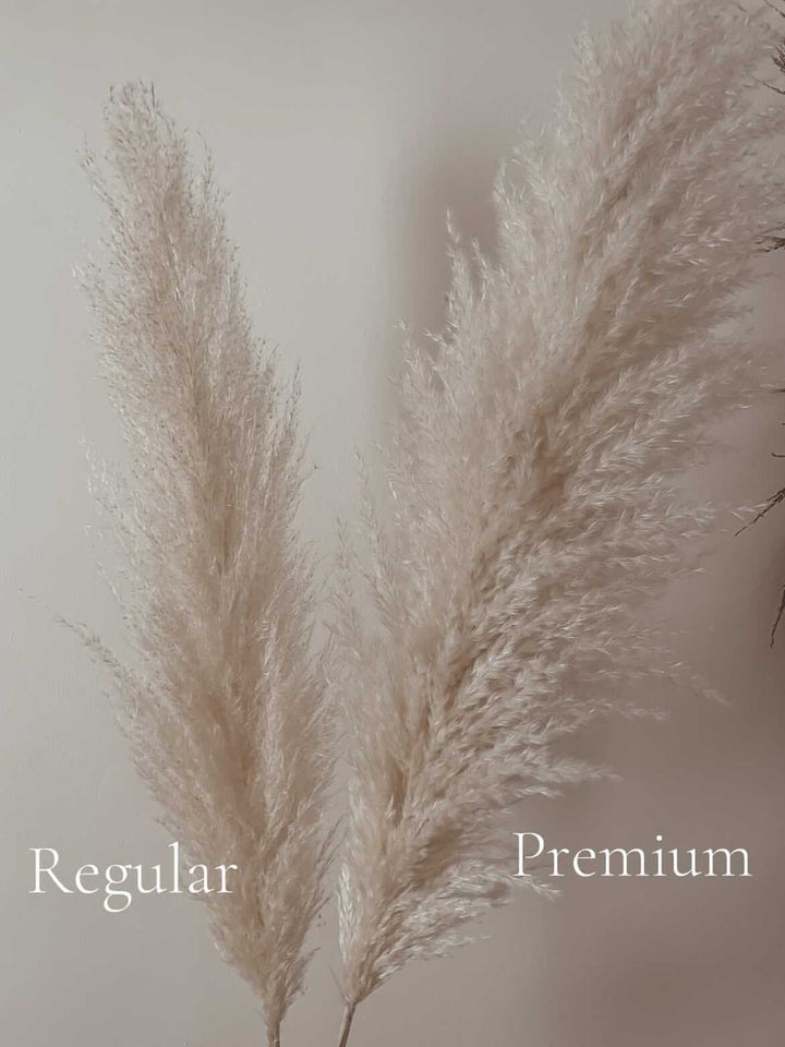 White pampas grass for By Two Fields