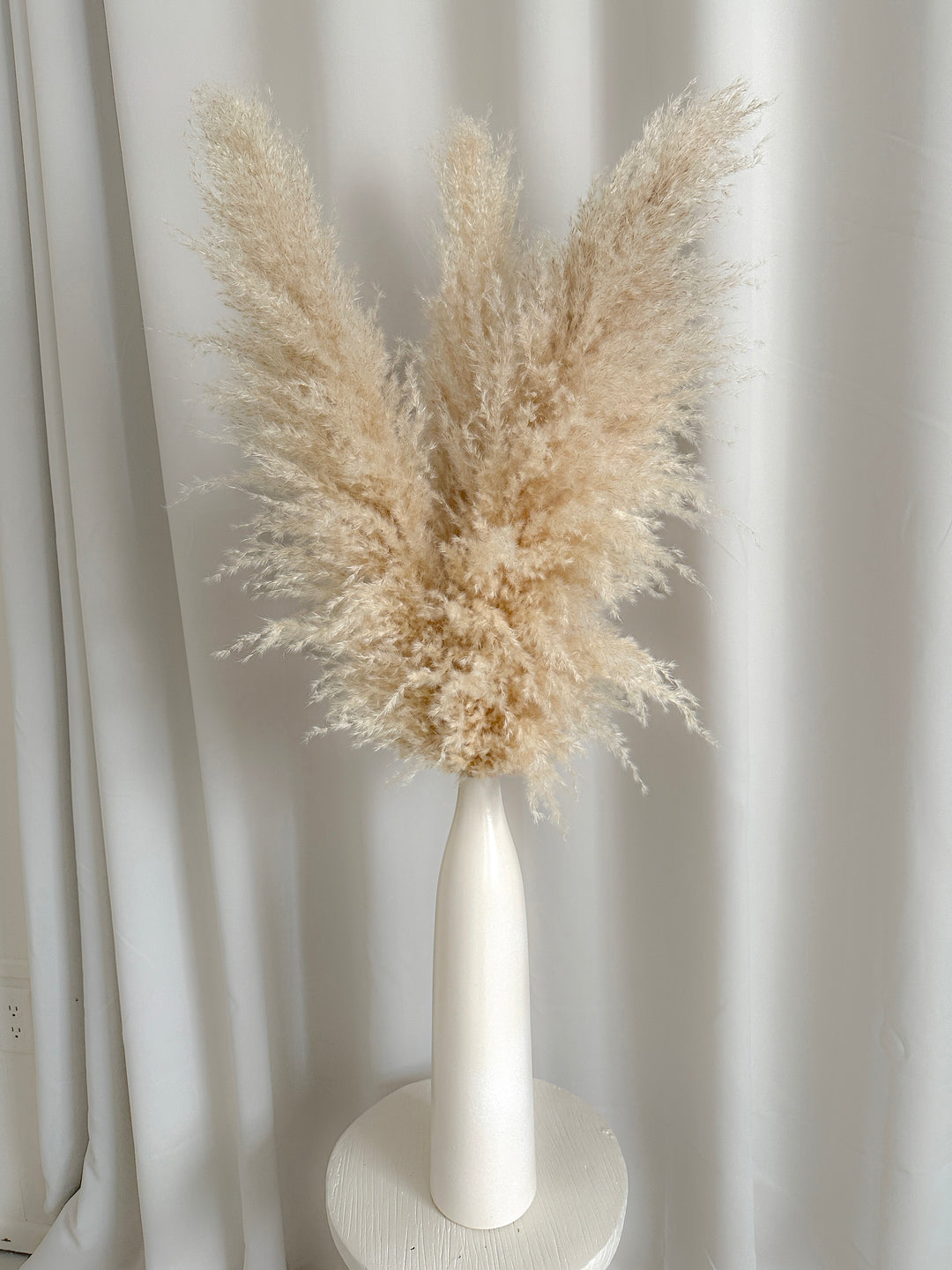 Large Champagne Pampas Grass